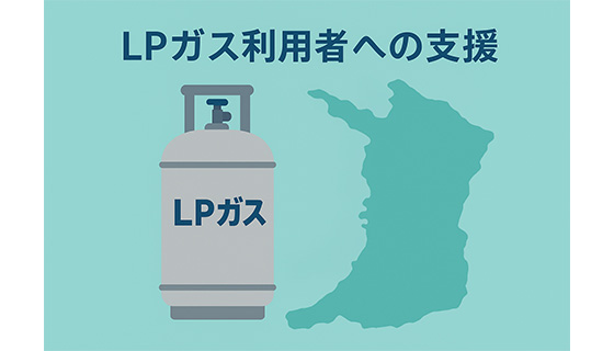 ＬＰガス利用者への支援（第４期）